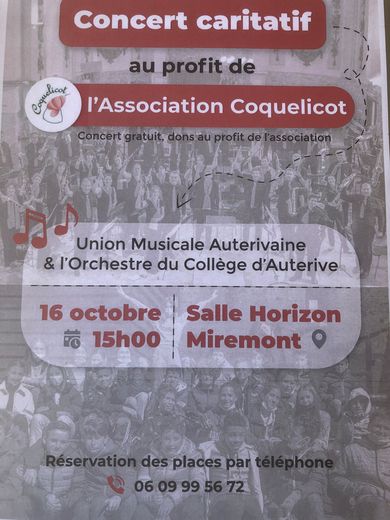 You are currently viewing Auterive. Concert caritatif de l’association Coquelicots